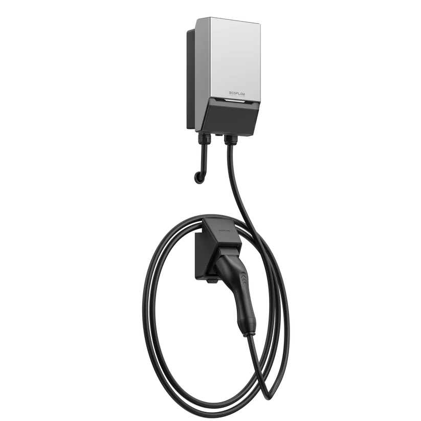 ECOFLOW PowerPulse (EU)